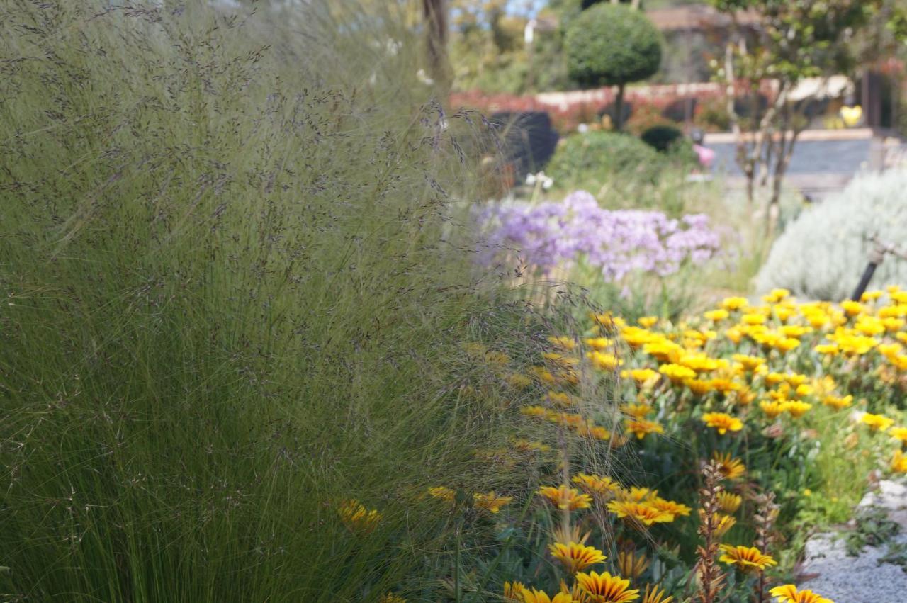 Les Jardins De Santa Giulia - Charmante chambre d'hôte Porto-Vecchio  Extérieur photo