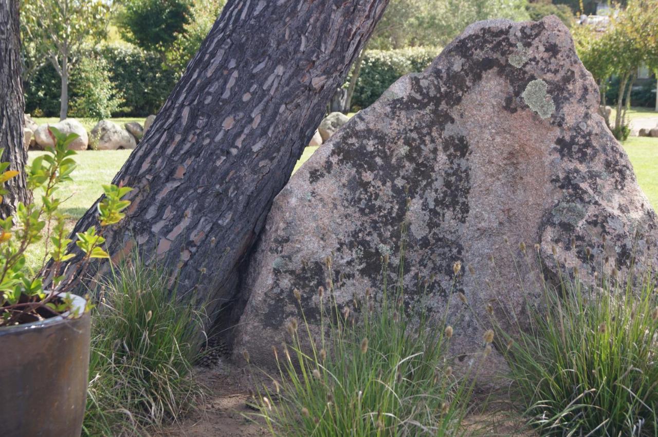 Les Jardins De Santa Giulia - Charmante chambre d'hôte Porto-Vecchio  Extérieur photo