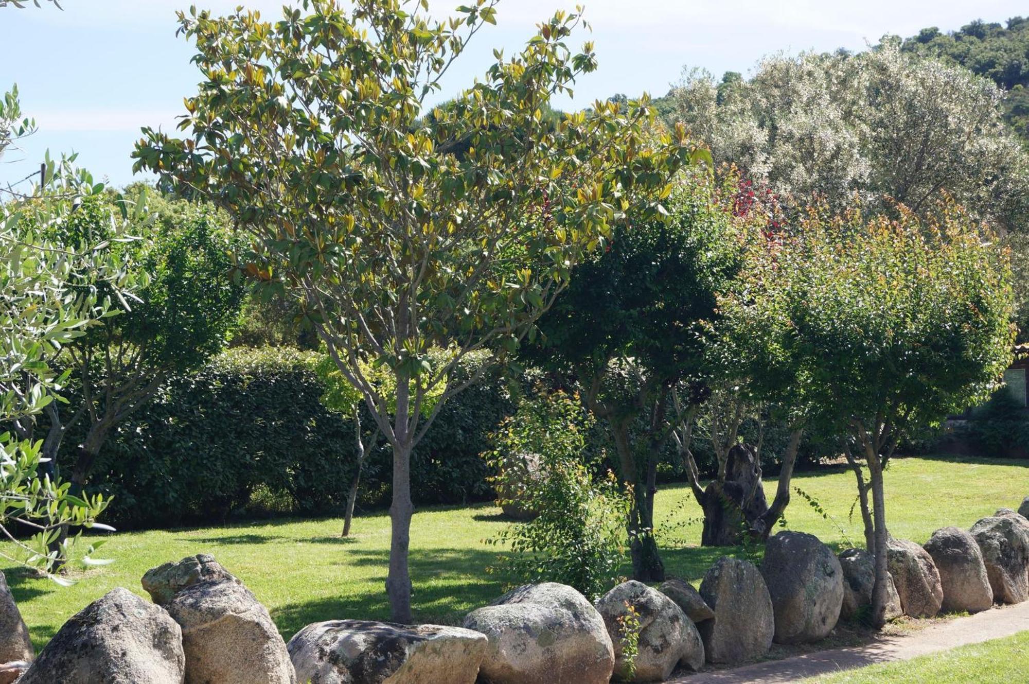 Les Jardins De Santa Giulia - Charmante chambre d'hôte Porto-Vecchio  Extérieur photo